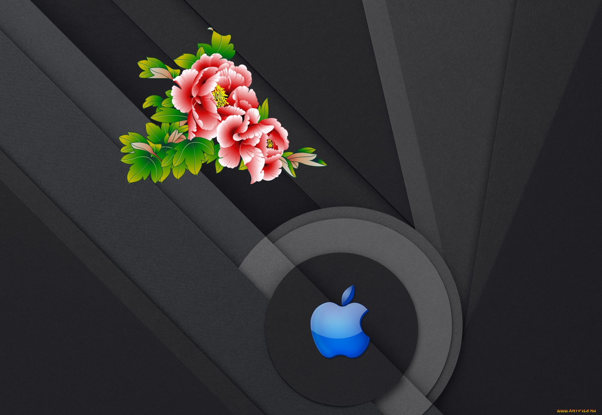 , apple, , 